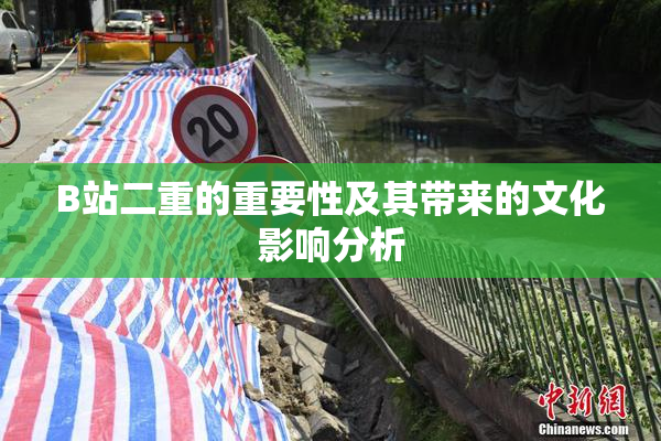 B站二重的重要性及其带来的文化影响分析