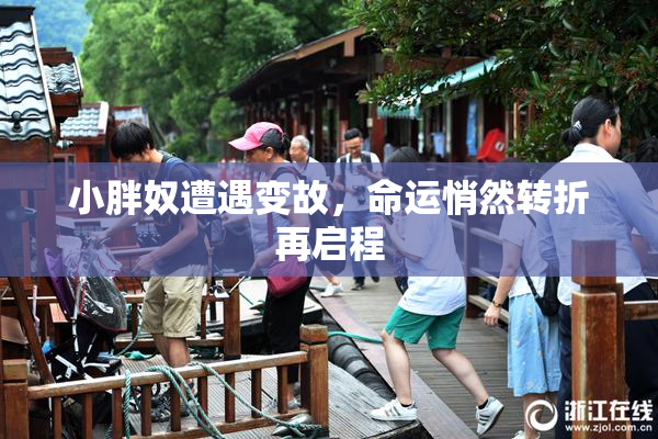 小胖奴遭遇变故，命运悄然转折再启程