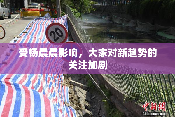 受杨晨晨影响，大家对新趋势的关注加剧