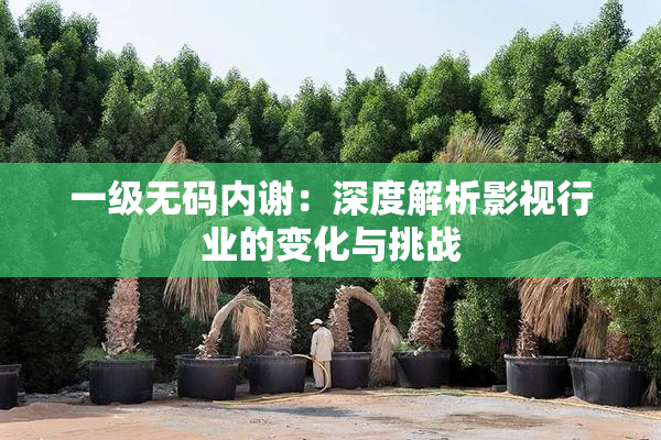 一级无码内谢：深度解析影视行业的变化与挑战