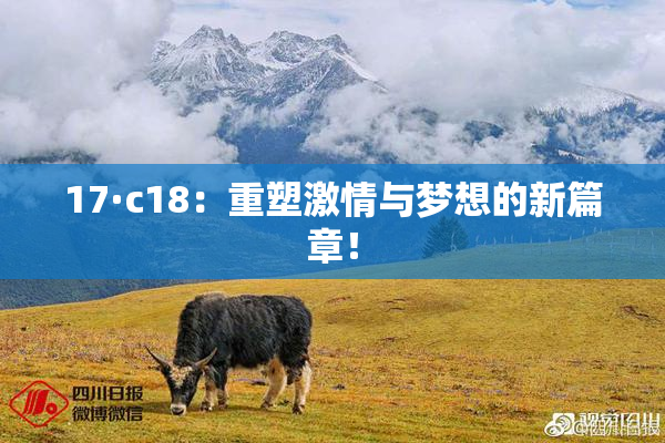 17·c18：重塑激情与梦想的新篇章！