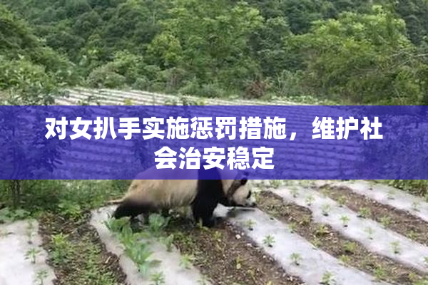 对女扒手实施惩罚措施，维护社会治安稳定