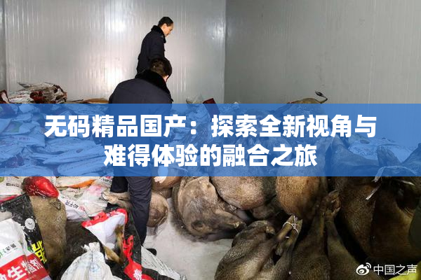无码精品国产：探索全新视角与难得体验的融合之旅