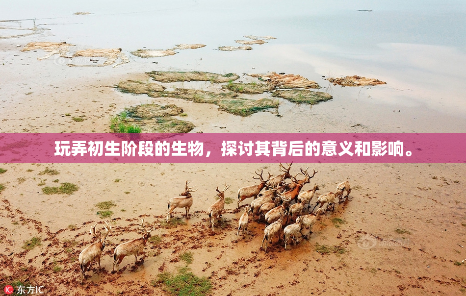 玩弄初生阶段的生物，探讨其背后的意义和影响。