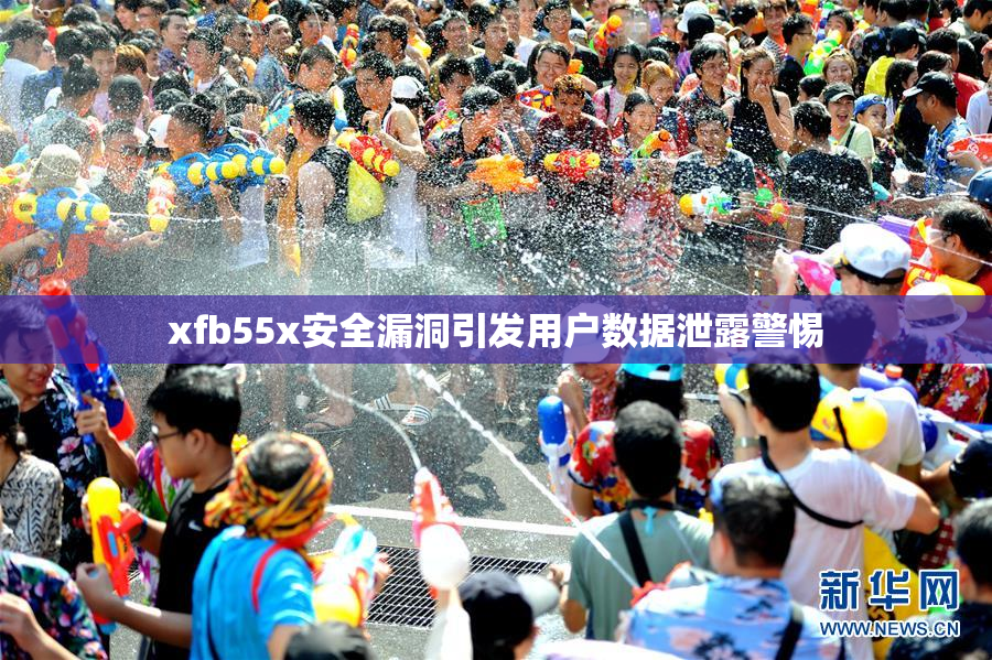 xfb55x安全漏洞引发用户数据泄露警惕