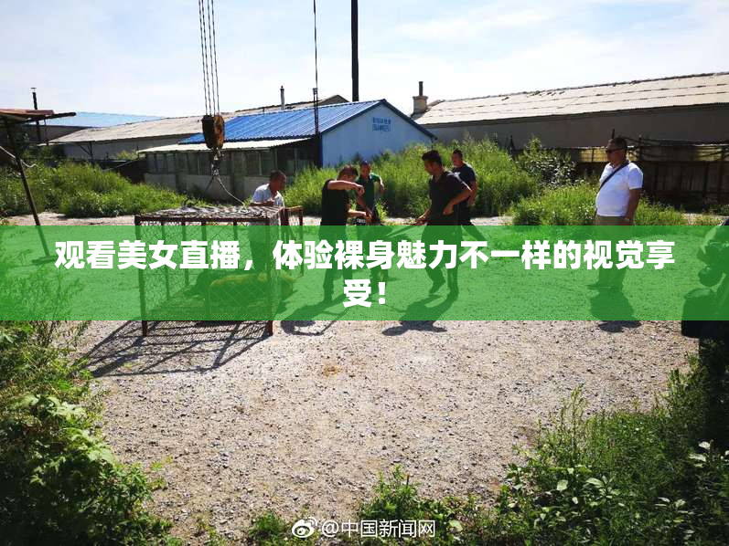 观看美女直播，体验裸身魅力不一样的视觉享受！