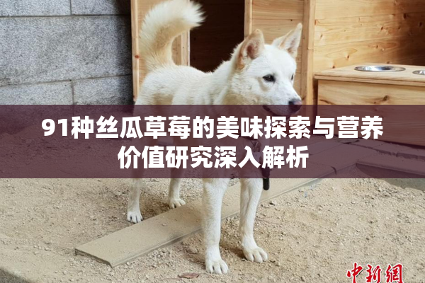 91种丝瓜草莓的美味探索与营养价值研究深入解析