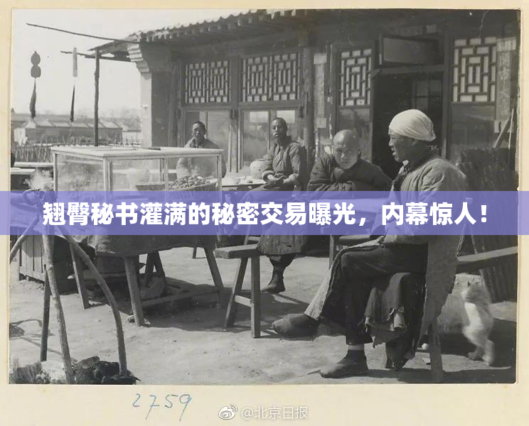 翘臀秘书灌满的秘密交易曝光，内幕惊人！