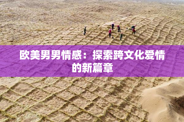 欧美男男情感：探索跨文化爱情的新篇章