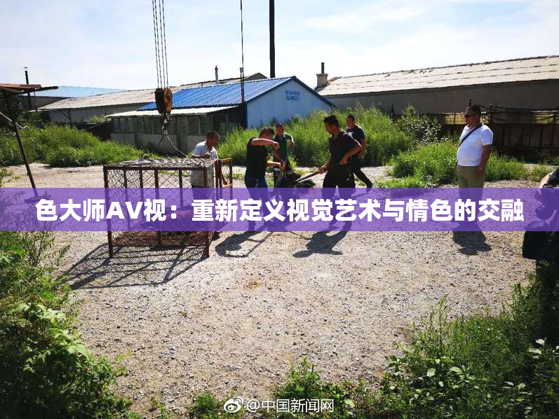 色大师AV视：重新定义视觉艺术与情色的交融