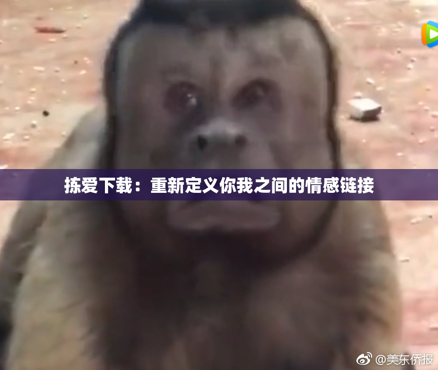 拣爱下载：重新定义你我之间的情感链接