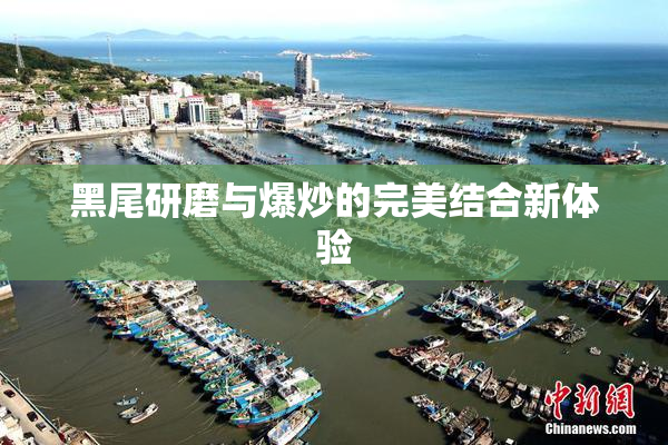 黑尾研磨与爆炒的完美结合新体验