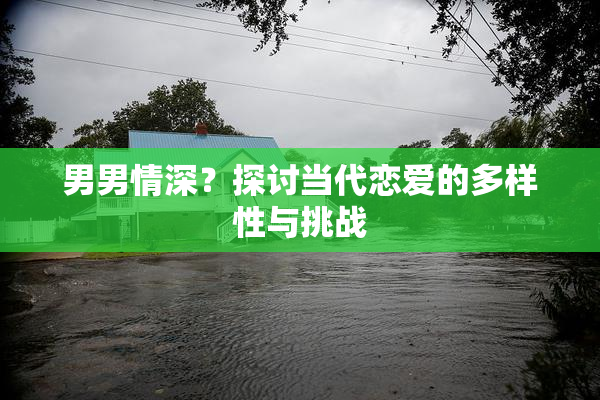 男男情深？探讨当代恋爱的多样性与挑战