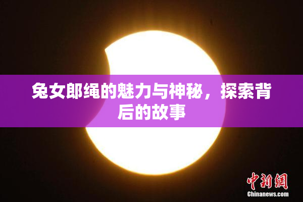 兔女郎绳的魅力与神秘，探索背后的故事