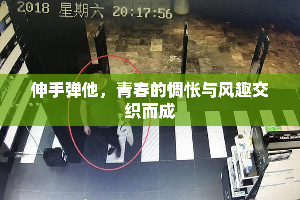 伸手弹他，青春的惆怅与风趣交织而成