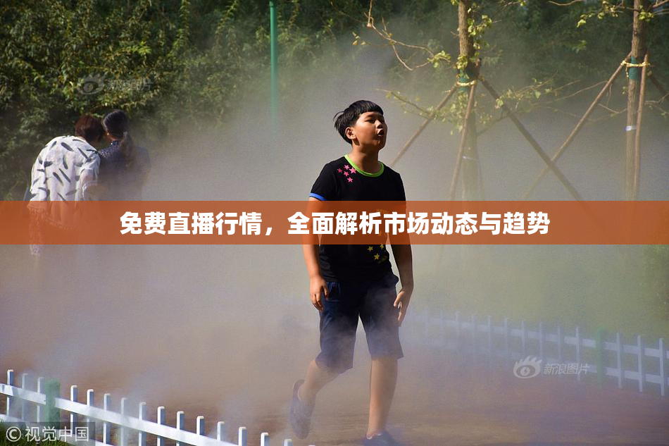 免费直播行情，全面解析市场动态与趋势