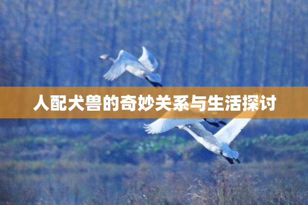 人配犬兽的奇妙关系与生活探讨