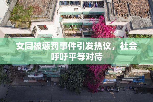女同被惩罚事件引发热议，社会呼吁平等对待