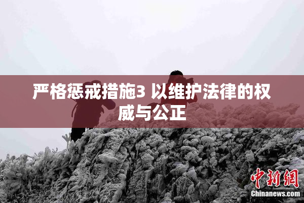 严格惩戒措施3 以维护法律的权威与公正