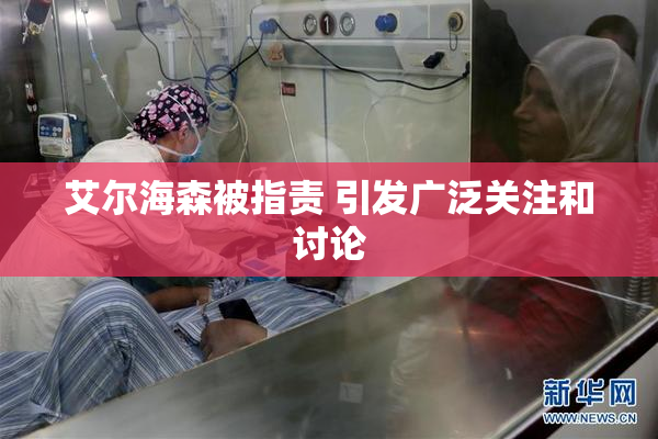 艾尔海森被指责 引发广泛关注和讨论