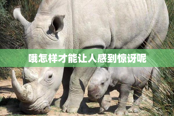 哦怎样才能让人感到惊讶呢