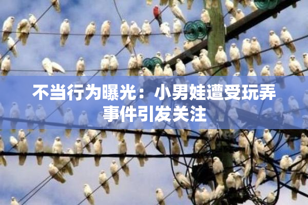 不当行为曝光：小男娃遭受玩弄事件引发关注