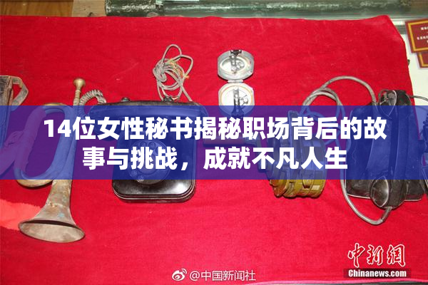 14位女性秘书揭秘职场背后的故事与挑战，成就不凡人生
