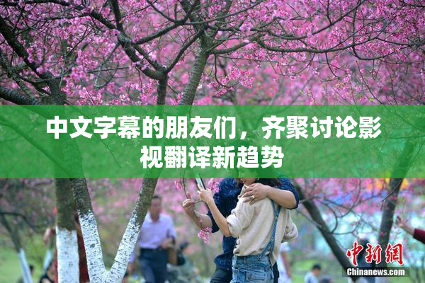 中文字幕的朋友们，齐聚讨论影视翻译新趋势