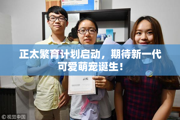 正太繁育计划启动，期待新一代可爱萌宠诞生！