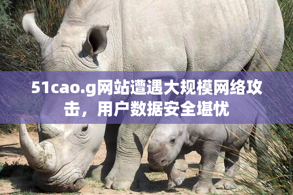 51cao.g网站遭遇大规模网络攻击，用户数据安全堪忧