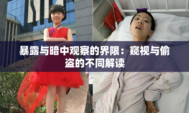暴露与暗中观察的界限：窥视与偷盗的不同解读