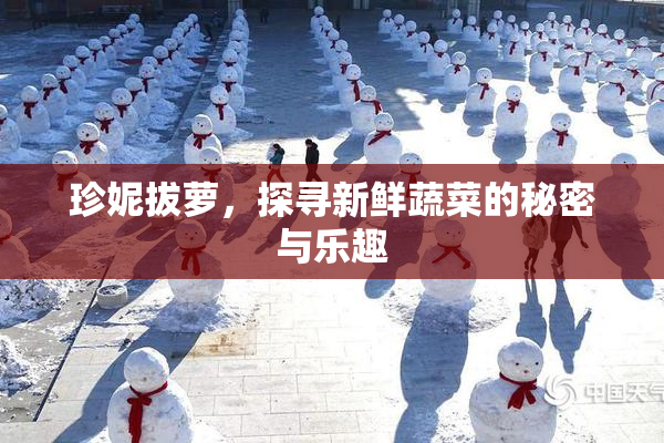 珍妮拔萝，探寻新鲜蔬菜的秘密与乐趣