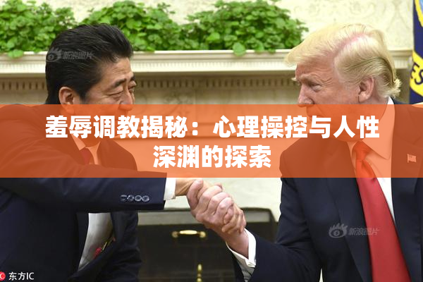 羞辱调教揭秘：心理操控与人性深渊的探索