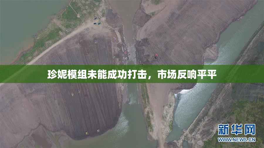 珍妮模组未能成功打击，市场反响平平