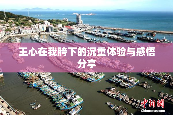 王心在我胯下的沉重体验与感悟分享