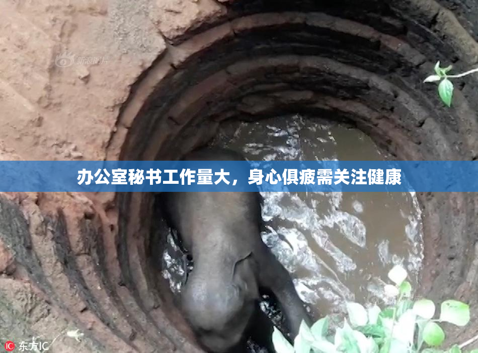 办公室秘书工作量大，身心俱疲需关注健康