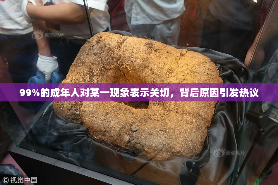 99%的成年人对某一现象表示关切，背后原因引发热议