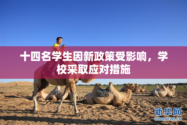 十四名学生因新政策受影响，学校采取应对措施