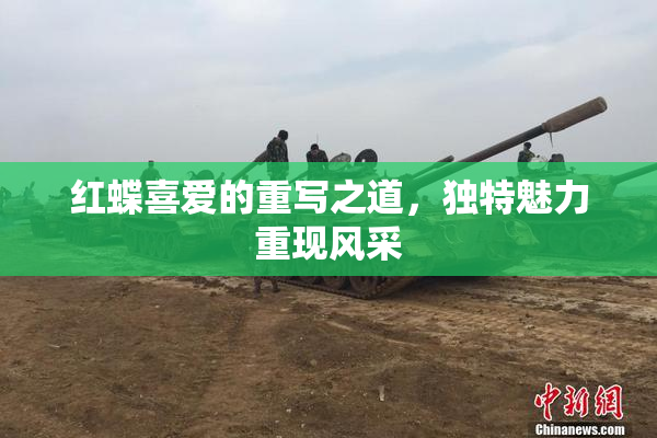 红蝶喜爱的重写之道，独特魅力重现风采