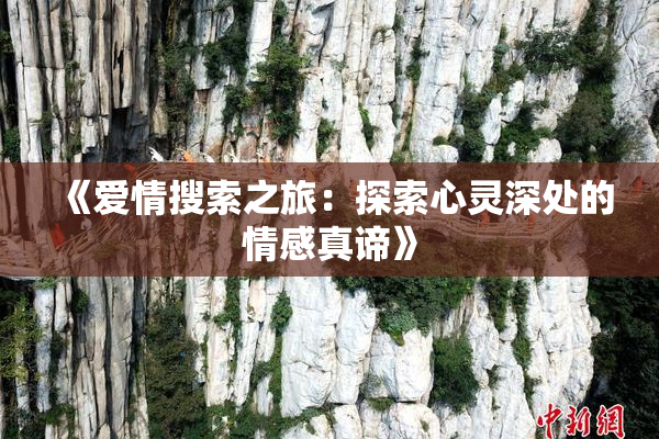 《爱情搜索之旅：探索心灵深处的情感真谛》