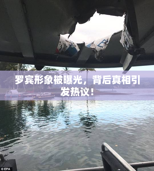 罗宾形象被曝光，背后真相引发热议！