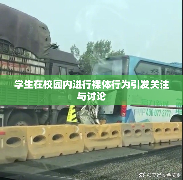 学生在校园内进行裸体行为引发关注与讨论