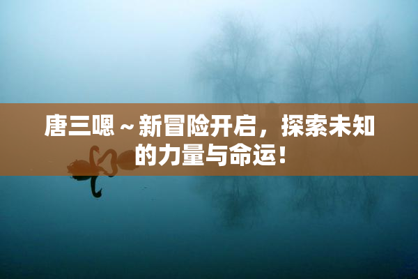 唐三嗯～新冒险开启，探索未知的力量与命运！