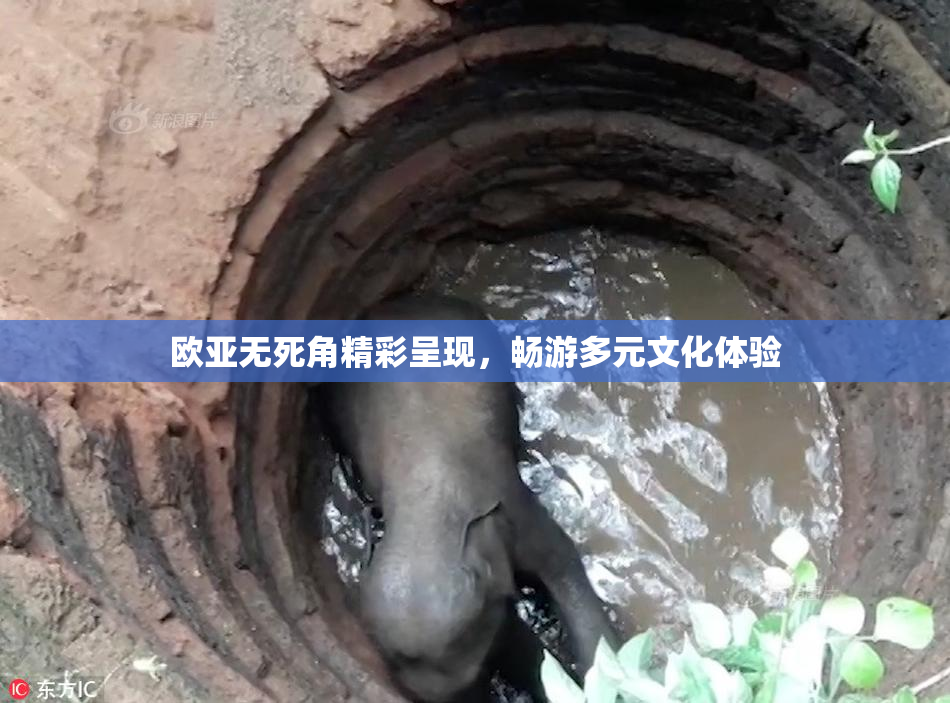 欧亚无死角精彩呈现，畅游多元文化体验