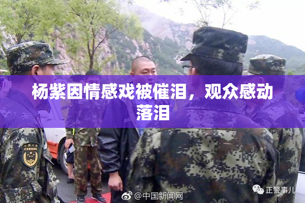 杨紫因情感戏被催泪，观众感动落泪