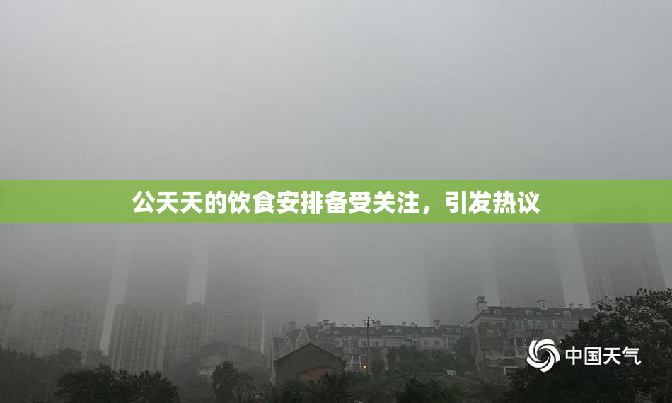 公天天的饮食安排备受关注，引发热议