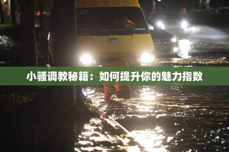 小骚调教秘籍：如何提升你的魅力指数