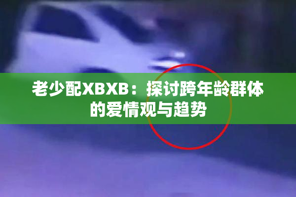 老少配XBXB：探讨跨年龄群体的爱情观与趋势