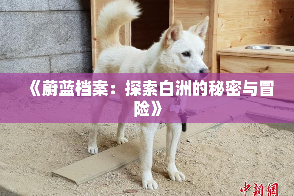 《蔚蓝档案：探索白洲的秘密与冒险》