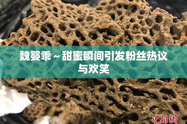 魏婴乖～甜蜜瞬间引发粉丝热议与欢笑